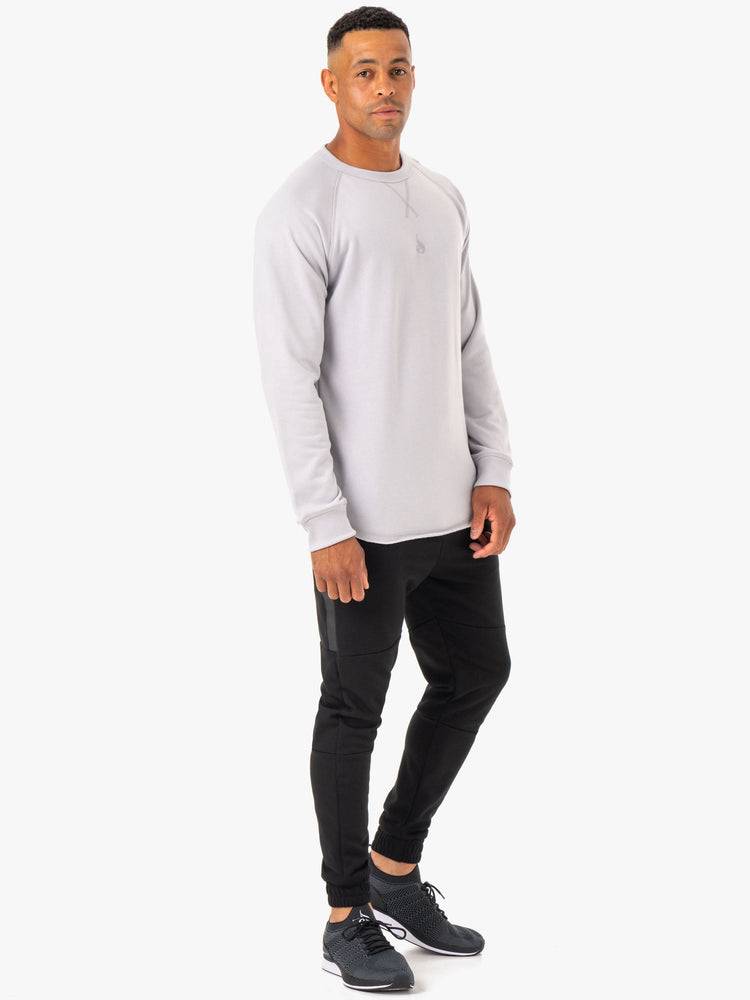 Swetry Męskie Ryderwear Men Sweaters Restore Crew Neck Białe Szare | PL2815PQ