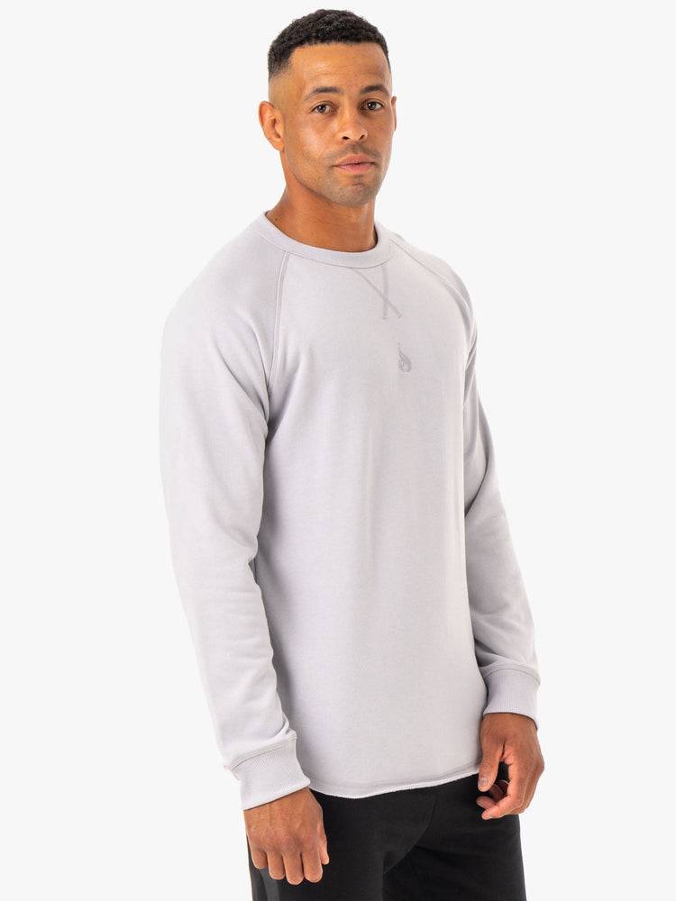 Swetry Męskie Ryderwear Men Sweaters Restore Crew Neck Białe Szare | PL2815PQ