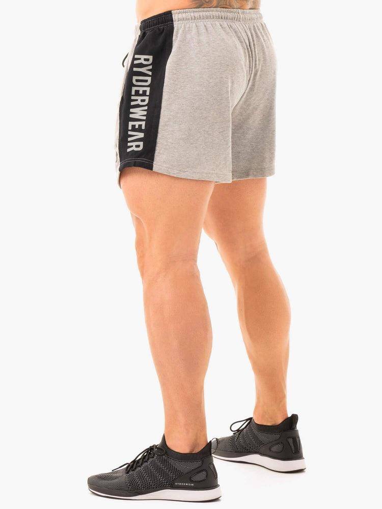 Szorty Męskie Ryderwear Men Shorts Fleece Arnie Szare | PL2785FM