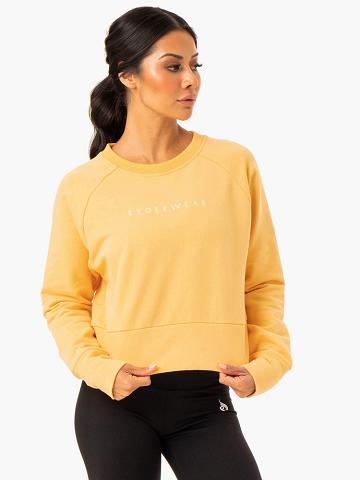 Swetry Damskie Ryderwear Women Sweaters Motion Mango | PL1561RW