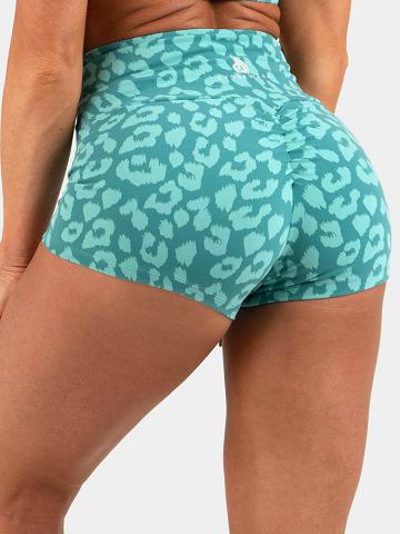 Szorty Damskie Ryderwear Women Shorts Animal Scrunch Bum Panterka Turkusowe | PL2117FM